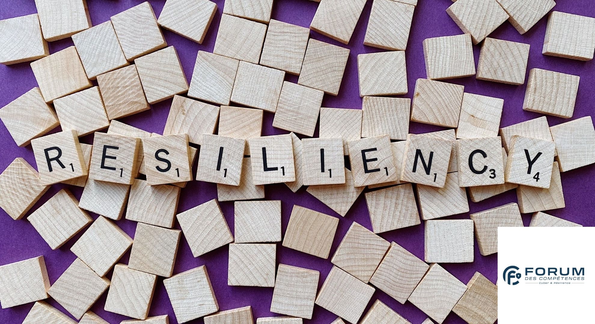 Cyber Resilience Act - forum des competences